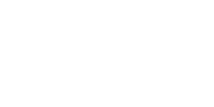 Blitzino 500x500_white